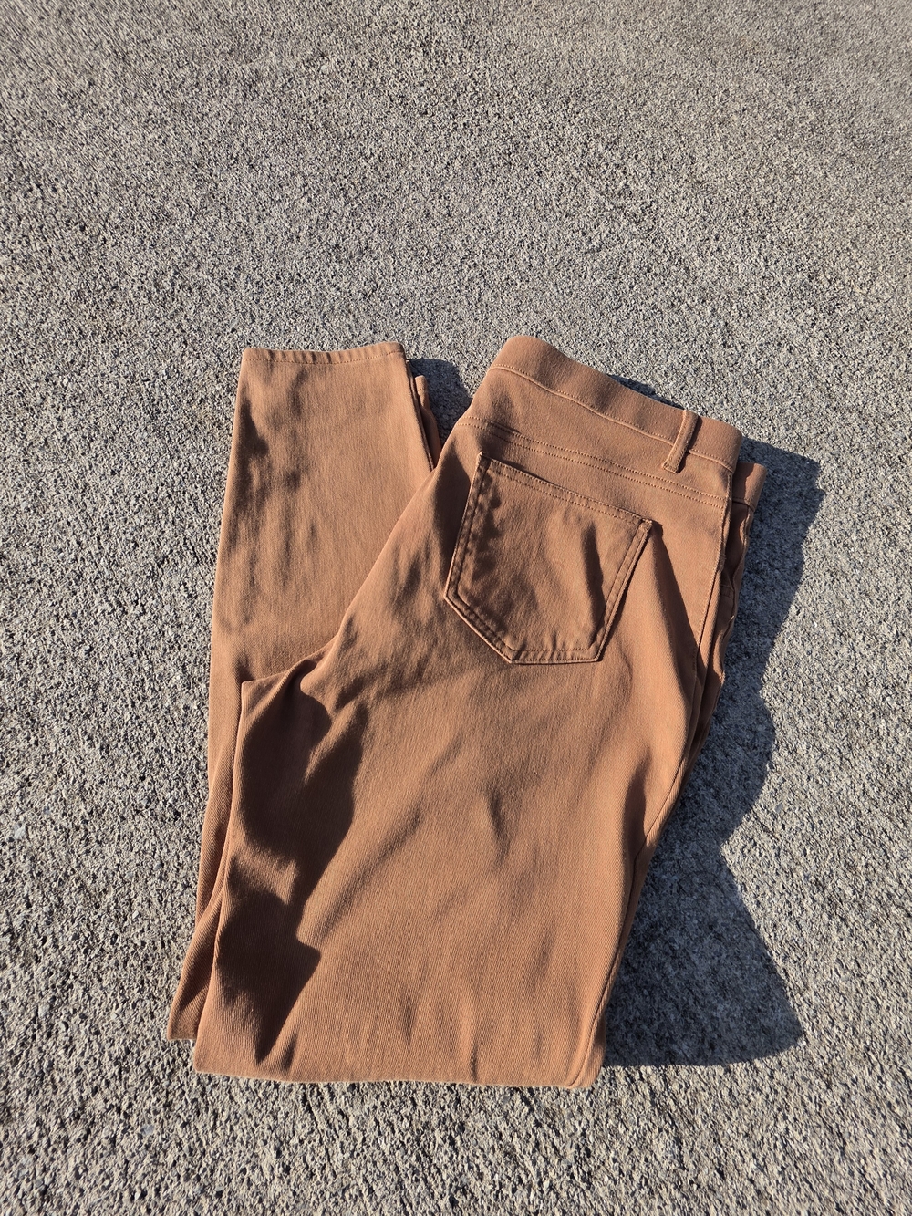 Time and Tru WOMENS- Size 20- Petite Fit Chino Pants in Rust